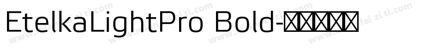 EtelkaLightPro Bold字体转换